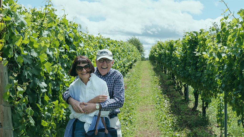 Retirees - IIF article