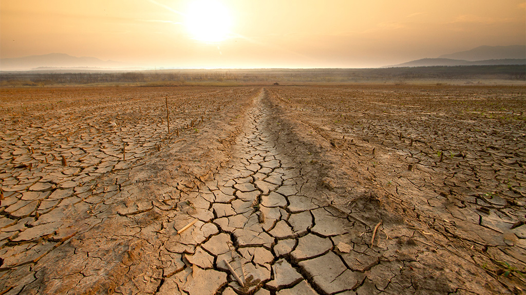 Reducing water