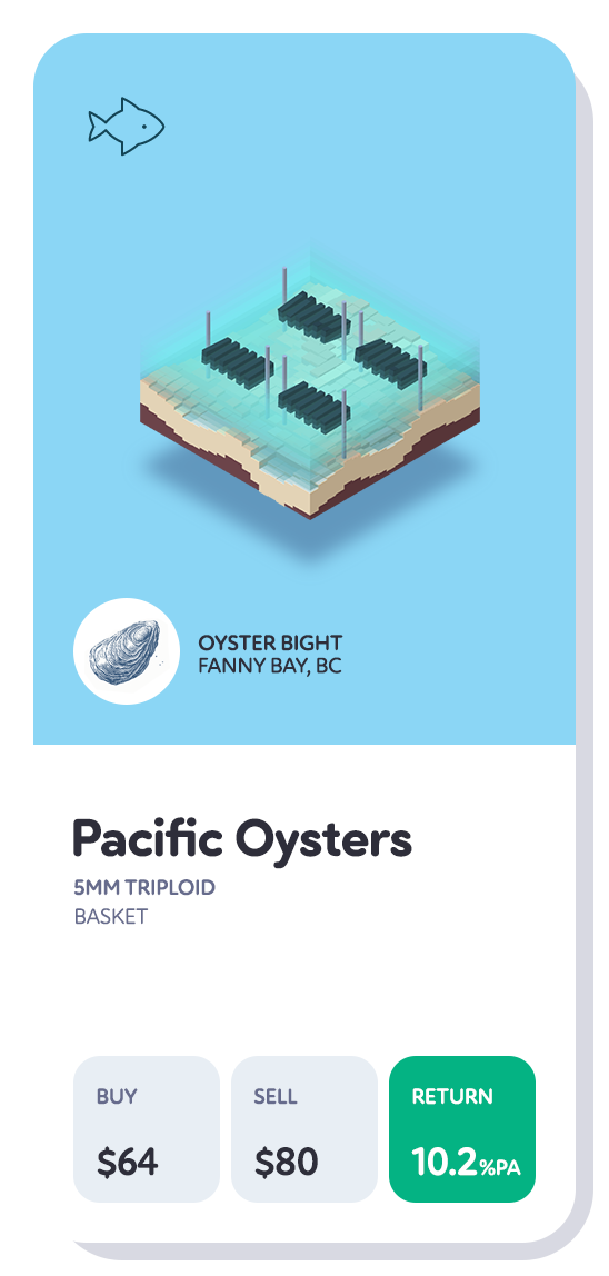 oysterCardB--ca