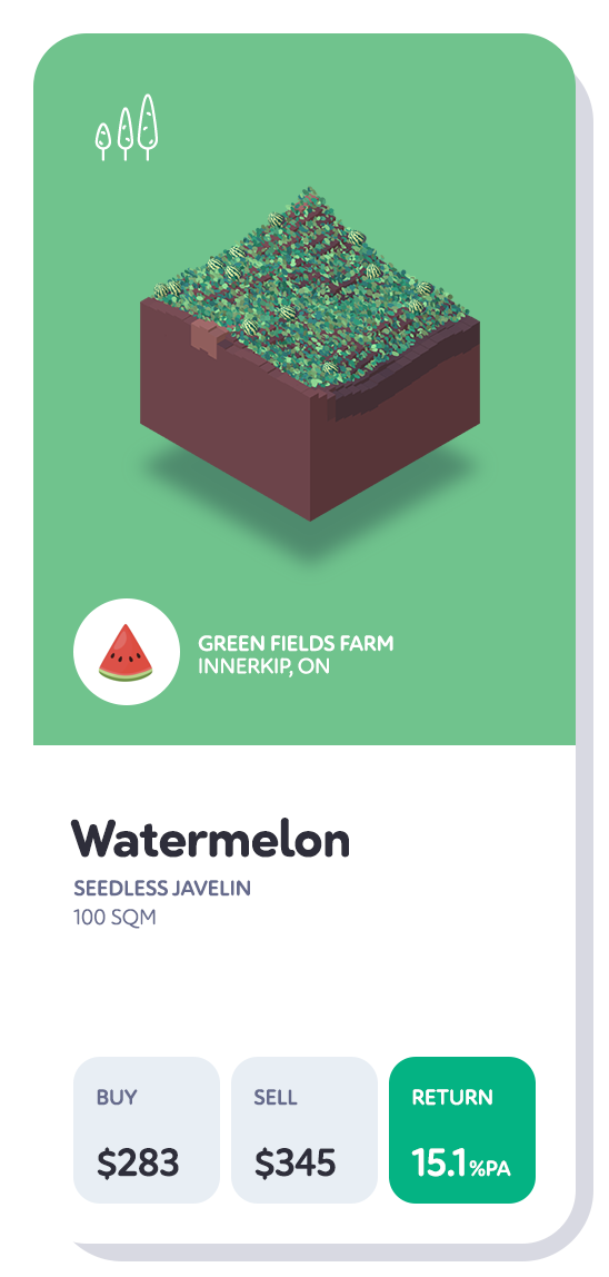 watermelon--ca