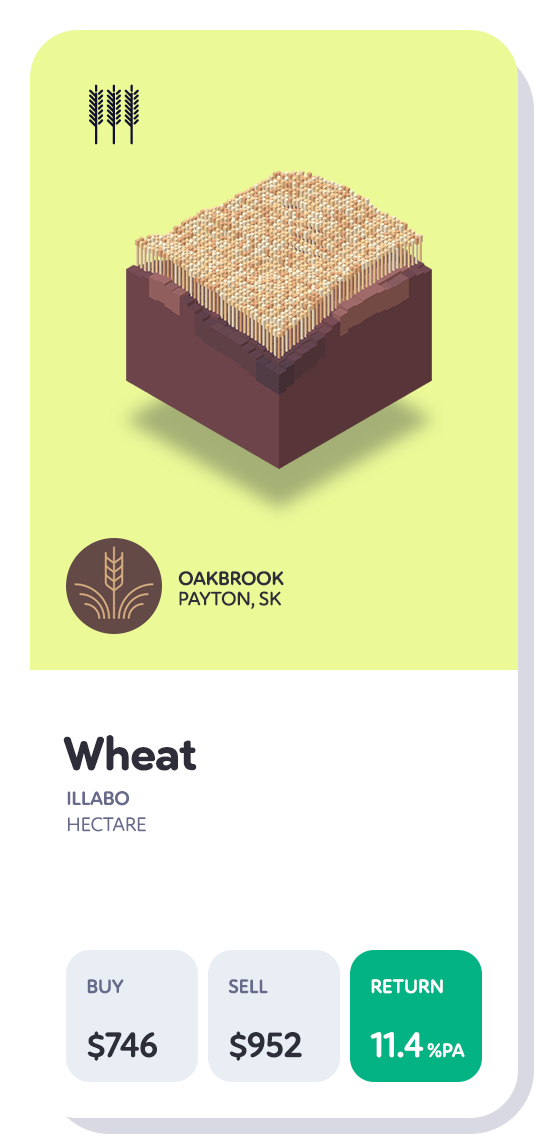 wheatCardB--ca
